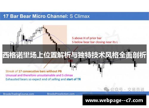 西格诺里场上位置解析与独特技术风格全面剖析