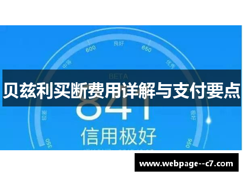 贝兹利买断费用详解与支付要点 贝兹利买断费用详解与支付要点