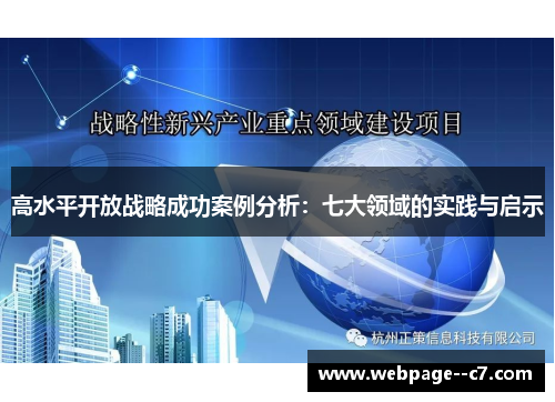 高水平开放战略成功案例分析：七大领域的实践与启示