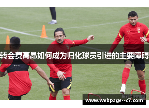 转会费高昂如何成为归化球员引进的主要障碍 转会费高昂如何成为归化球员引进的主要障碍
