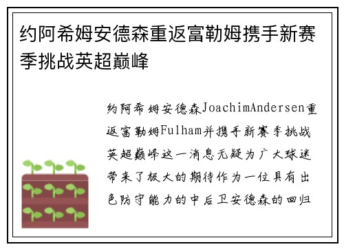 约阿希姆安德森重返富勒姆携手新赛季挑战英超巅峰 约阿希姆安德森重返富勒姆携手新赛季挑战英超巅峰
