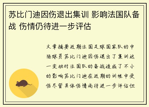 苏比门迪因伤退出集训 影响法国队备战 伤情仍待进一步评估